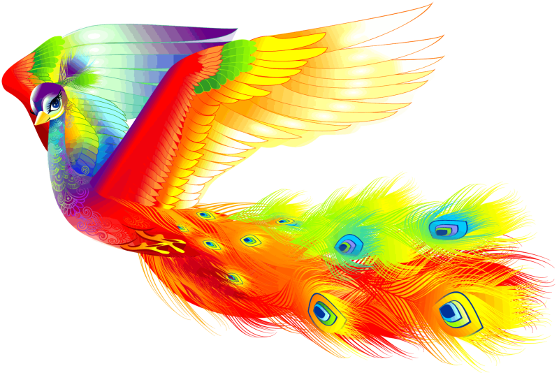 Радужная птица