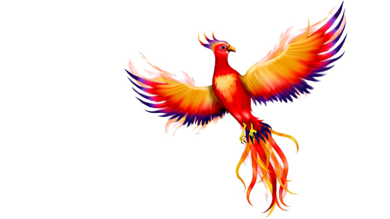 Феникс на белом фоне
