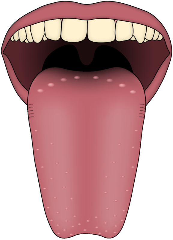 Язык мультяшный