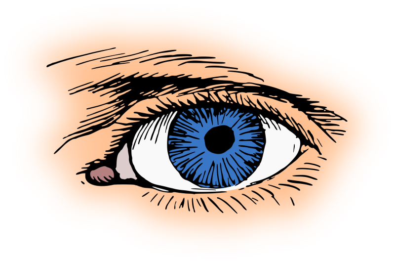 Глаз человека