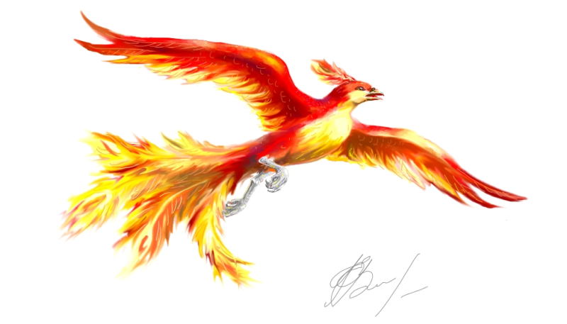 Логотип птица Феникс Фохов