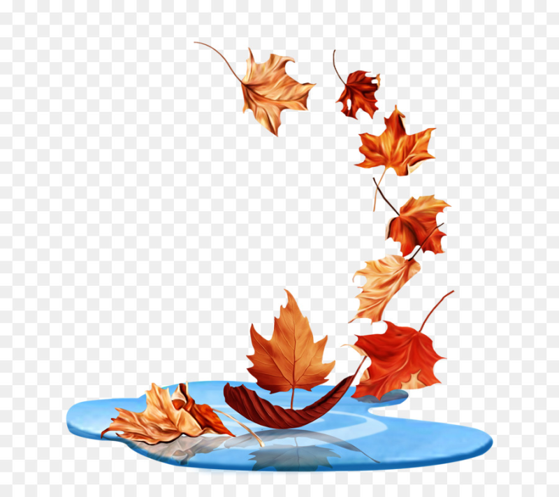 Листочки на прозрачном фоне