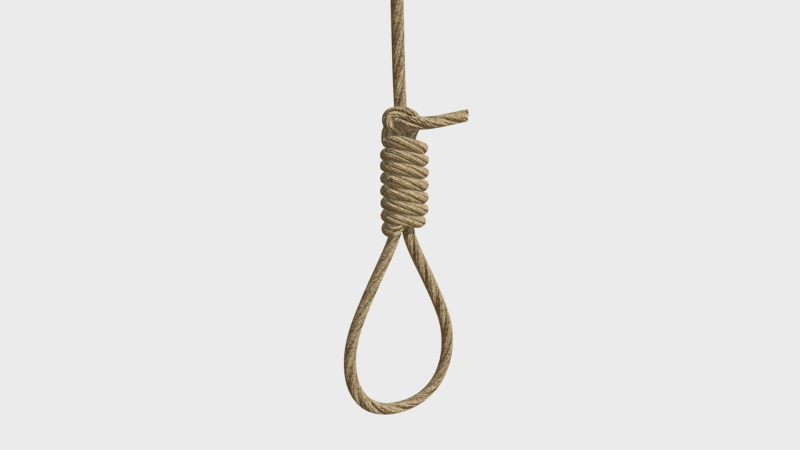 Петля веревка