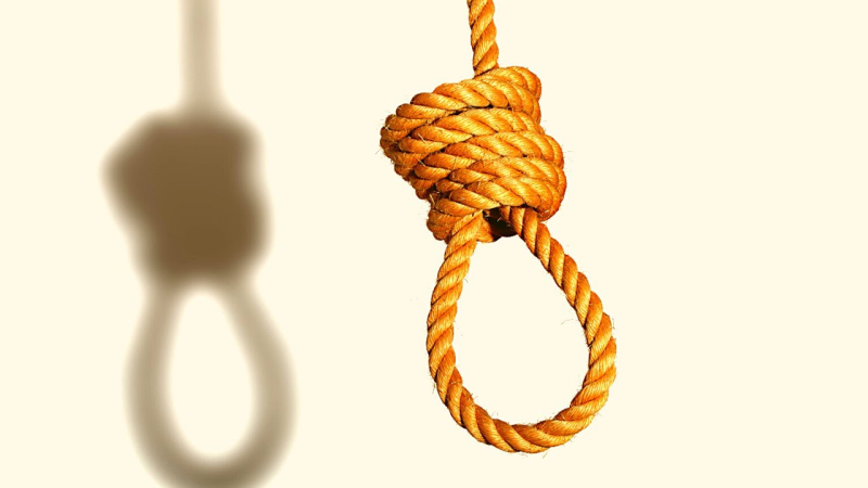 Петля веревка