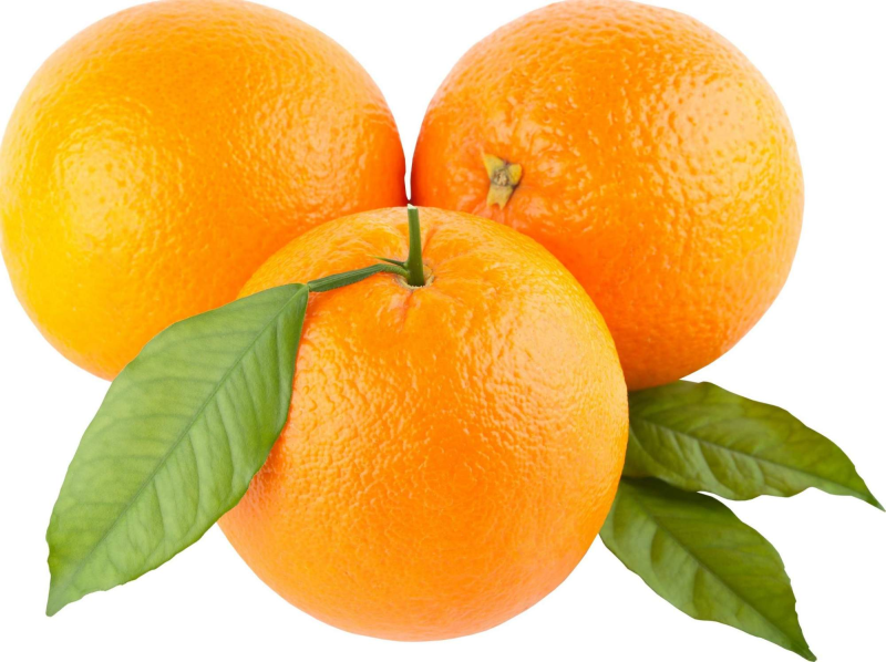 Цитрус апельсин (Аранция)