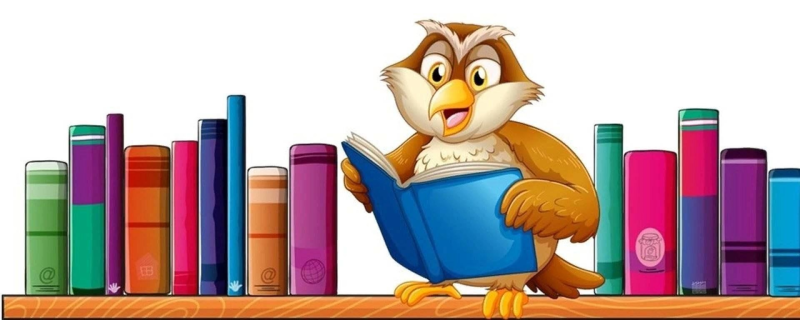 Книги на полке