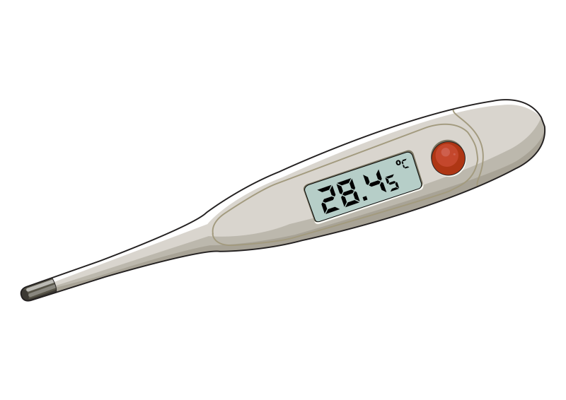Термометр электронный медицинский
