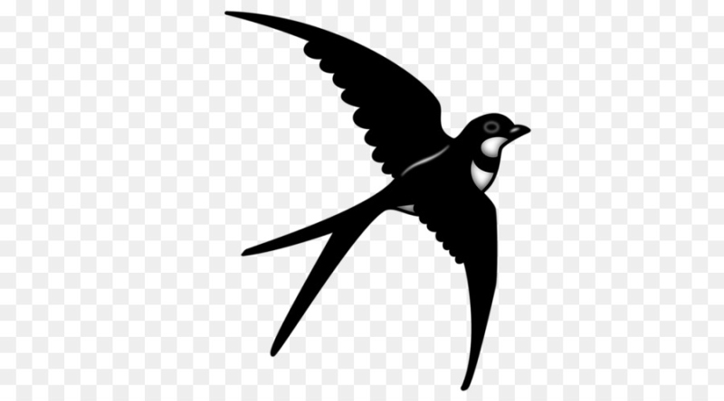 Ласточка для детей