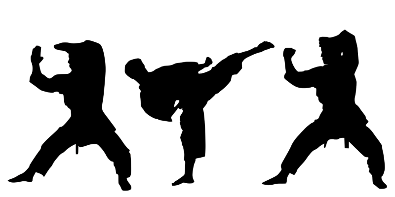 Восточное боевое единоборство