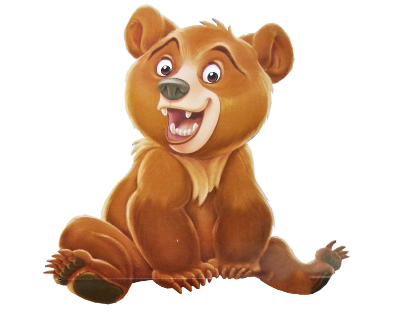 Медведь на белом фоне