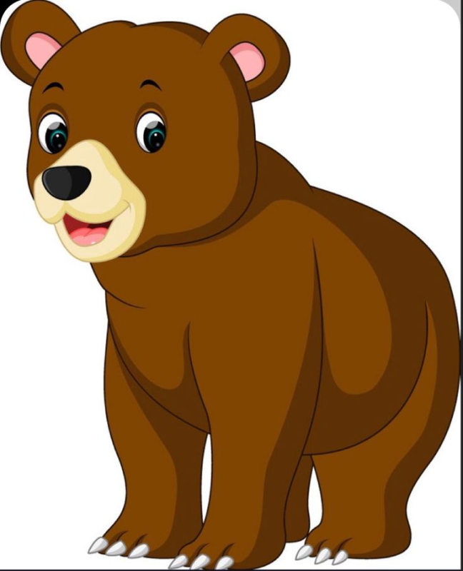 Медведь нарисованный мультяшный