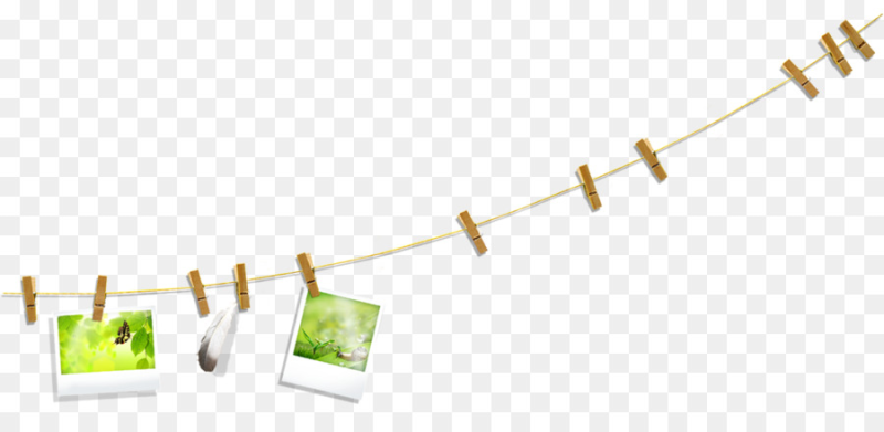 Веревка с прищепками на прозрачном фоне