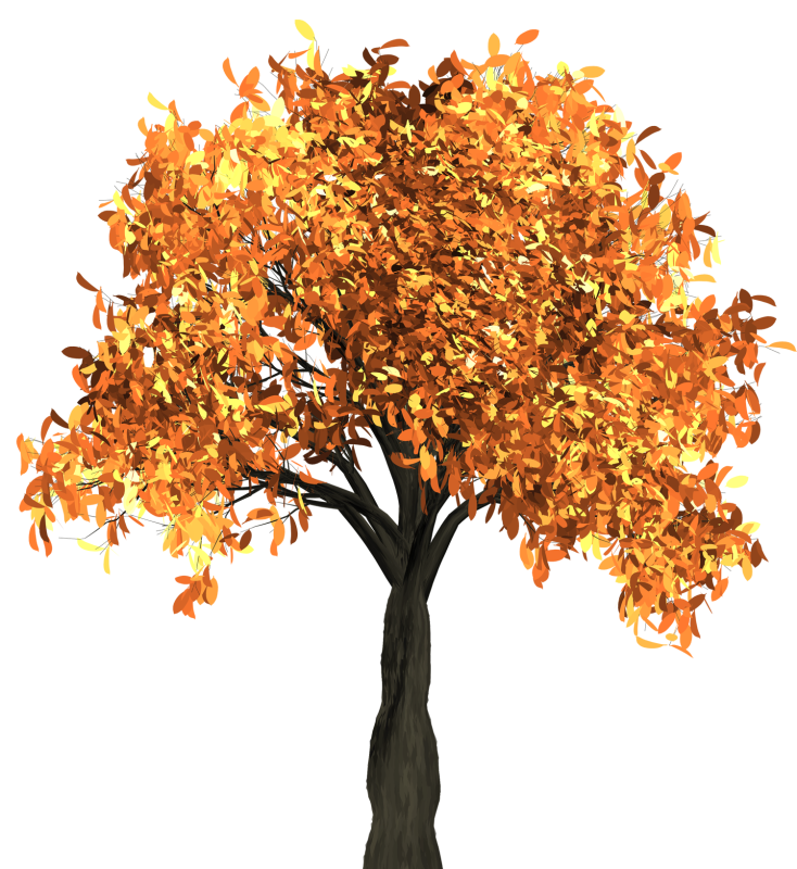 Осеннее дерево