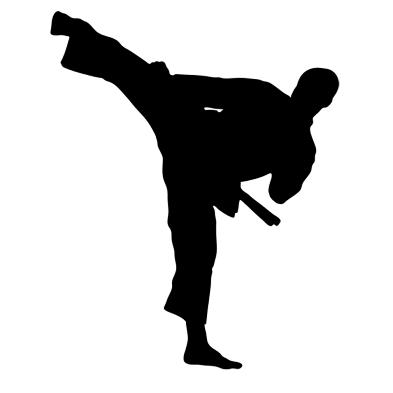 Каратэ силуэт