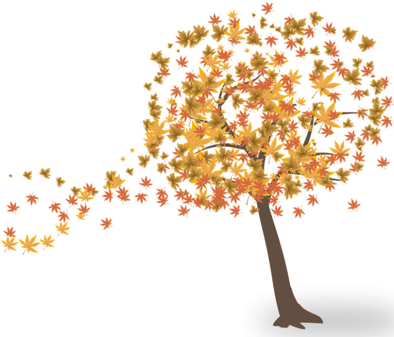 Осеннее дерево