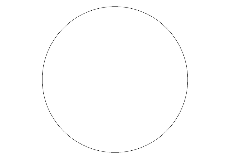 В круге белом