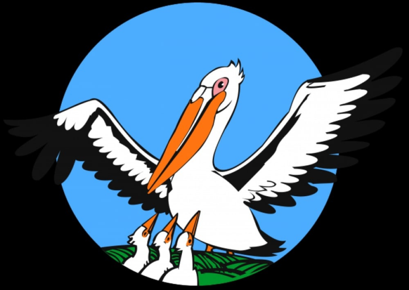 Пеликан символ конкурса учитель года