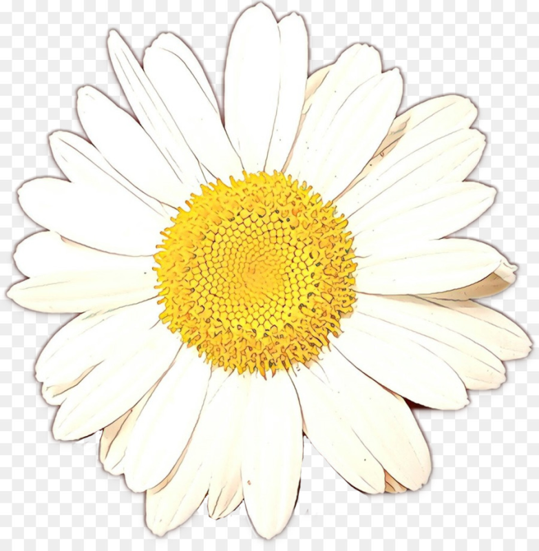 Ромашка для детей