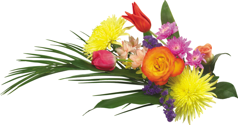 Букет цветов на белом фоне