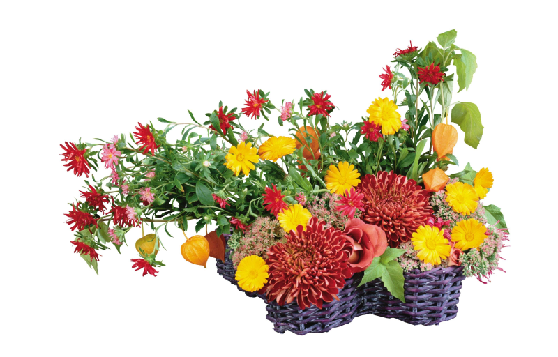 Композиции из садовых цветов
