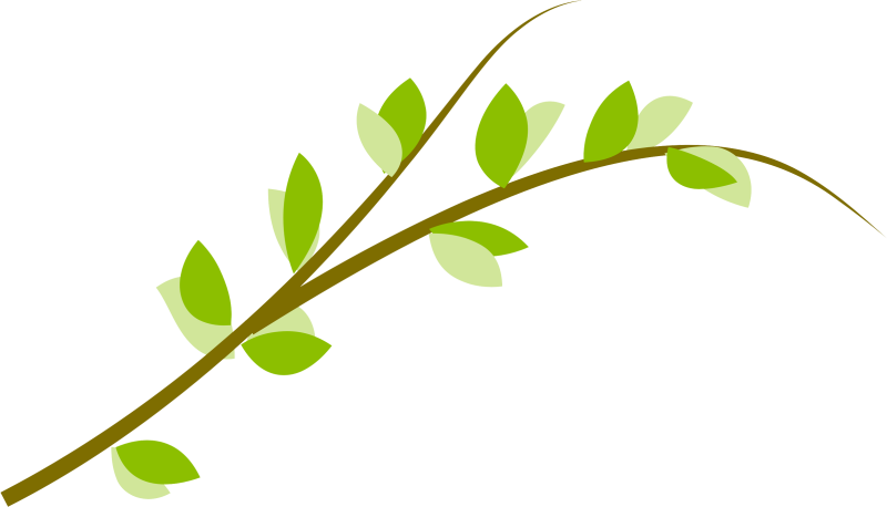 Веточка с листочками