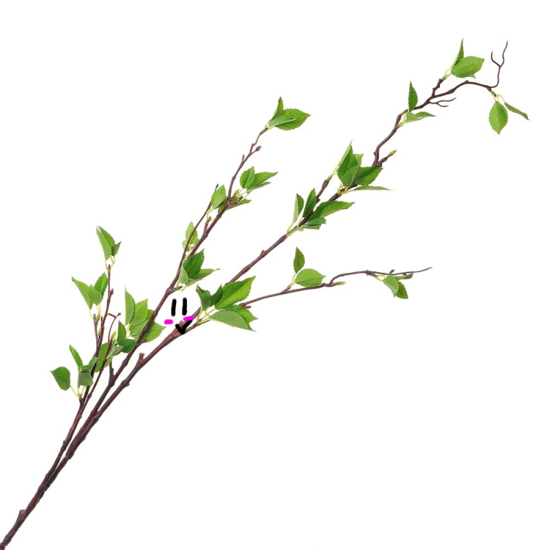 Веточка зелени