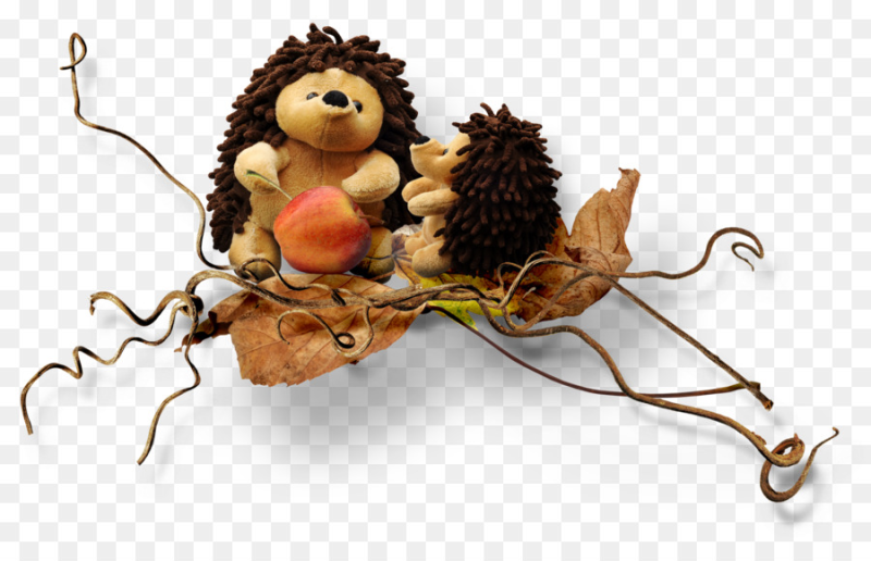 Осенние поделки на прозрачном фоне