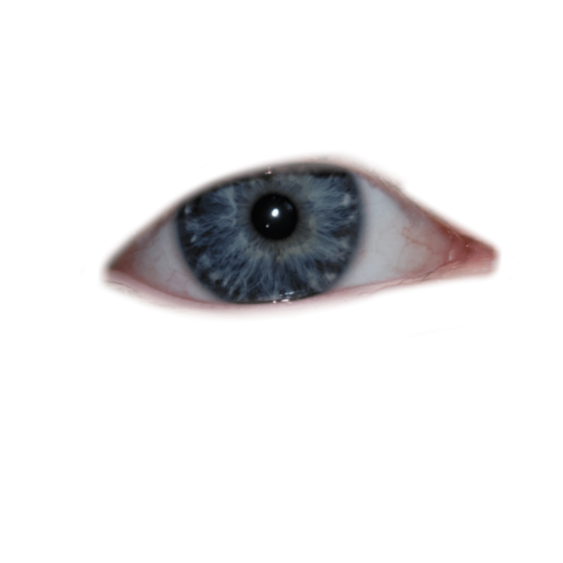 Глаз без фона человеческий
