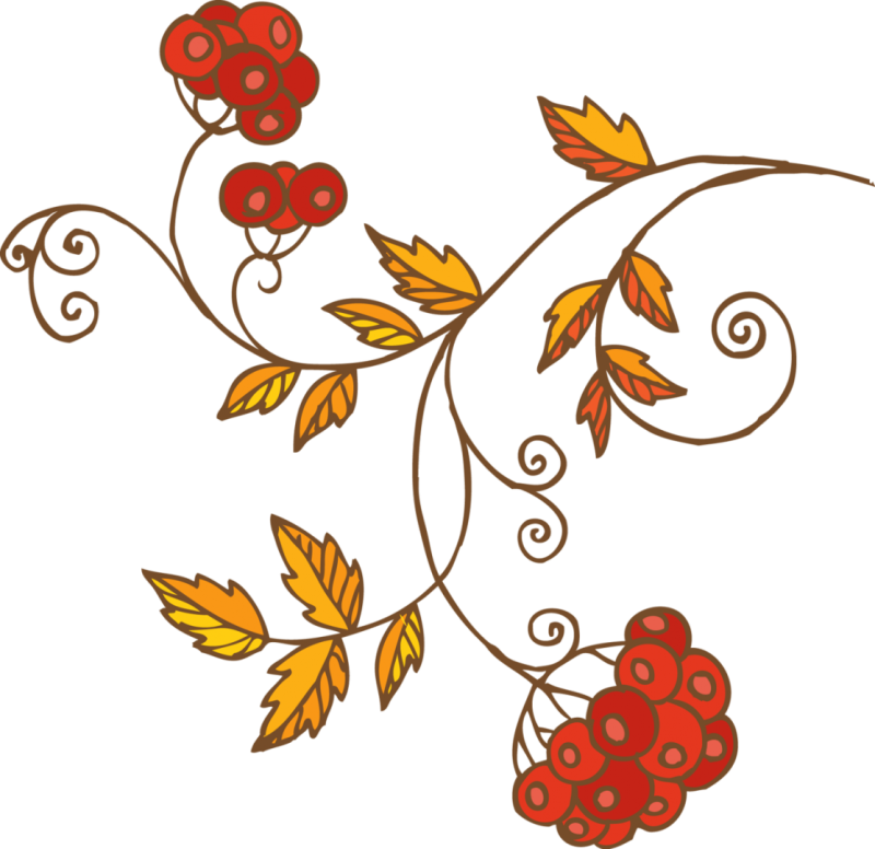 Рябина орнамент