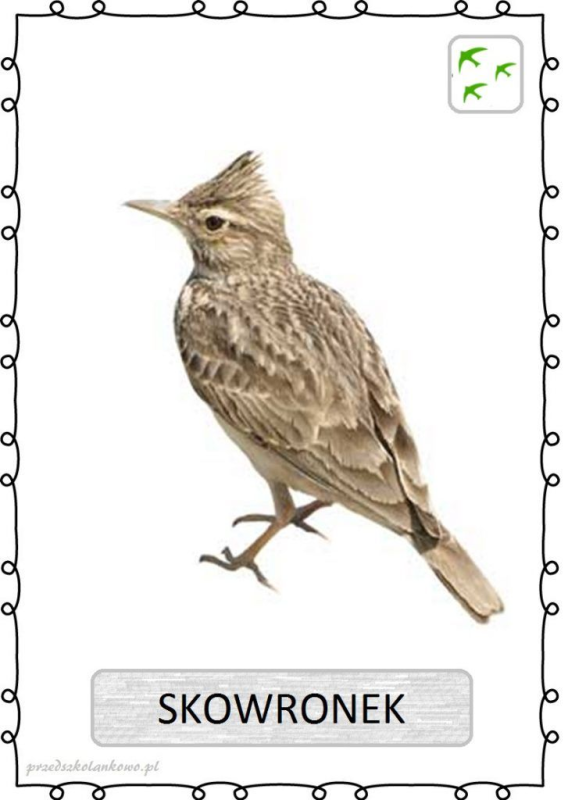 Жаворонок для дошкольников