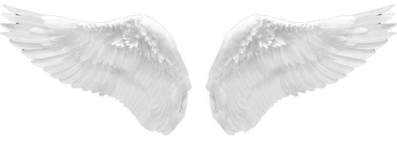 Крылья ангела для гача лайв