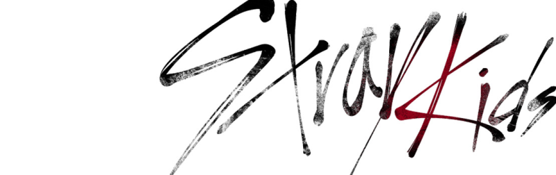 Группа Stray Kids лейбл