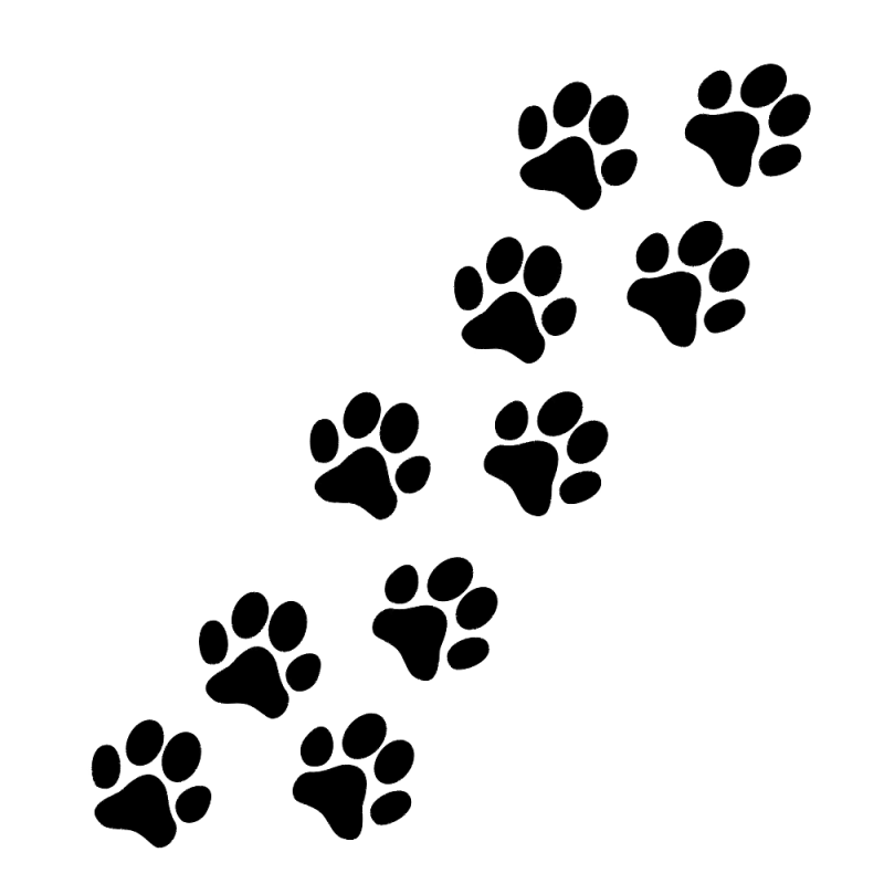 След собаки