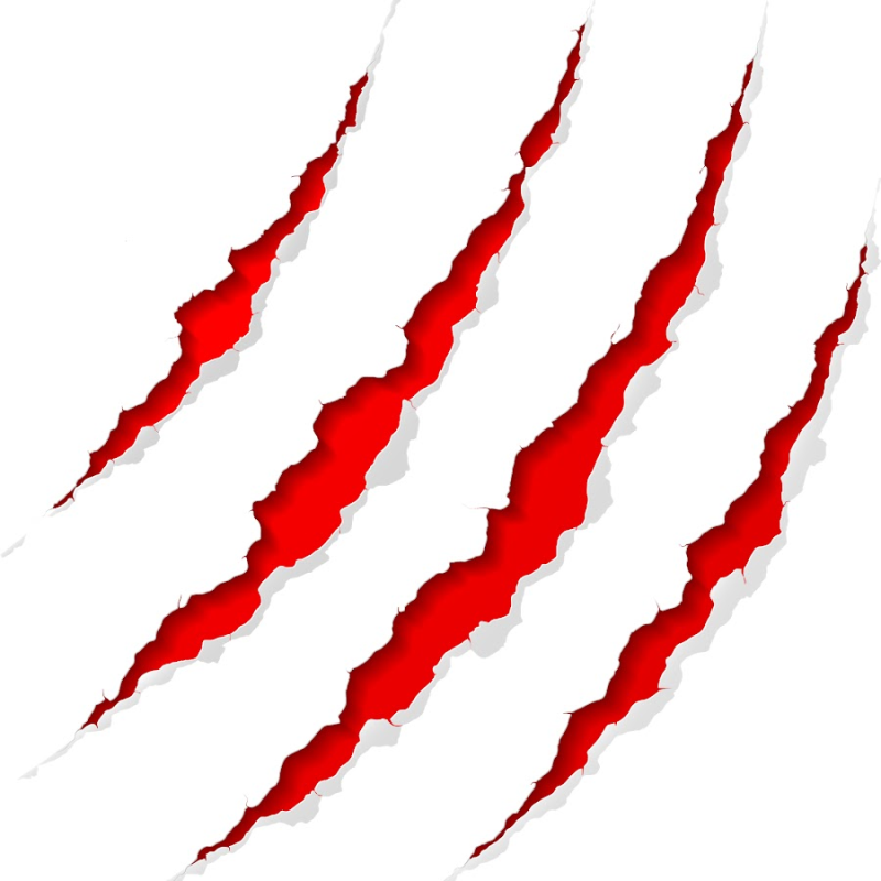 Следы от когтей без фона