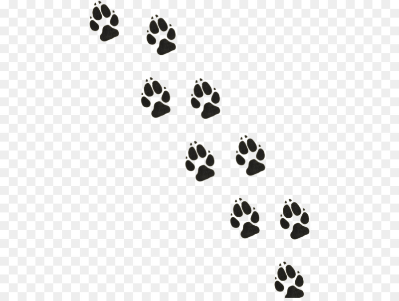 Отпечаток лапы собаки