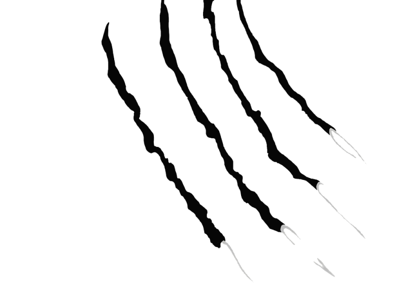 Царапины от когтей