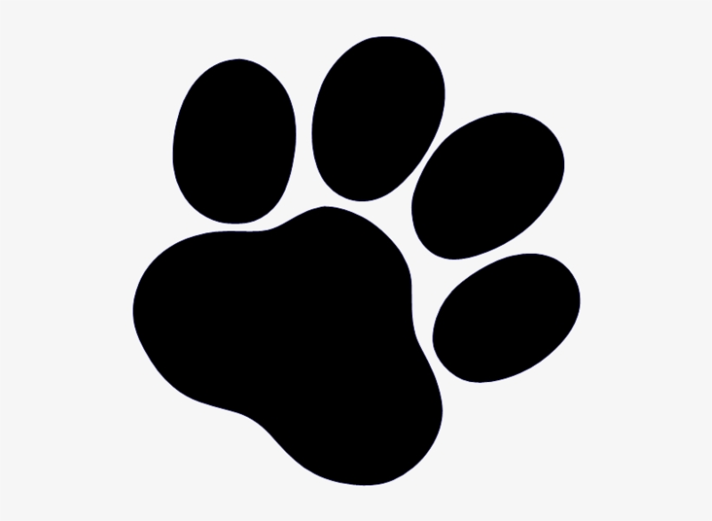 Отпечаток собачьей лапы