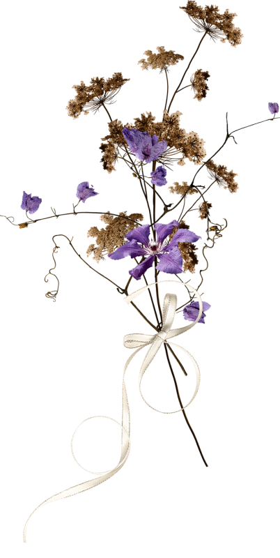 Засушенные полевые цветы