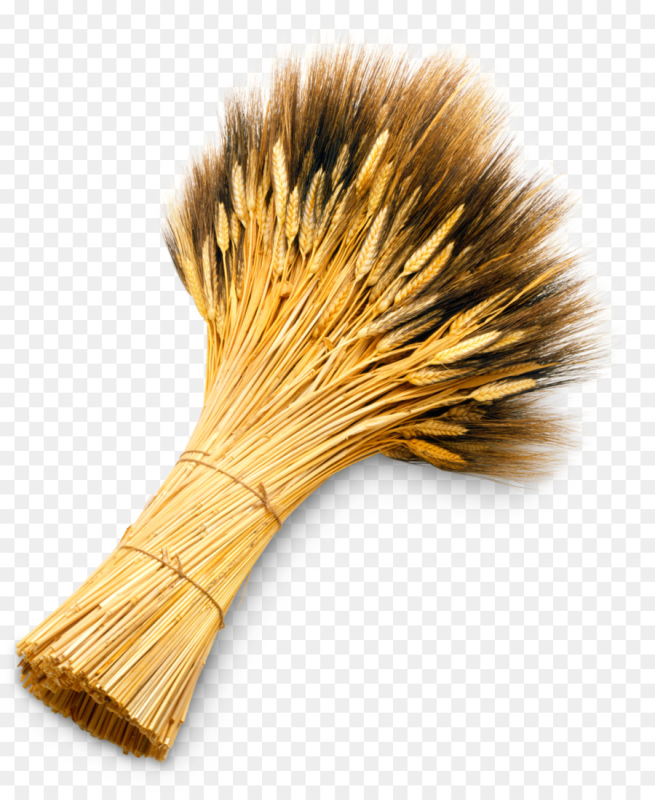 Сноп пшеницы