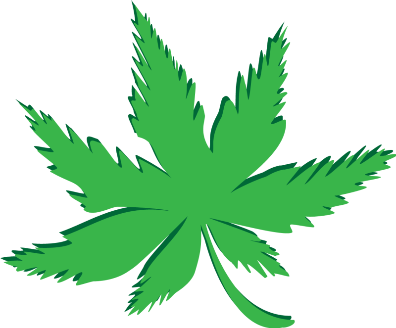 Лист марихуаны на прозрачном фоне