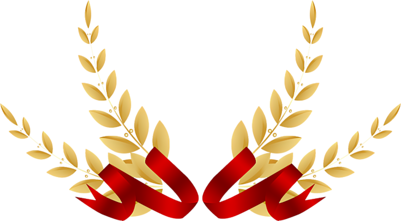 Лавровая ветка на прозрачном фоне