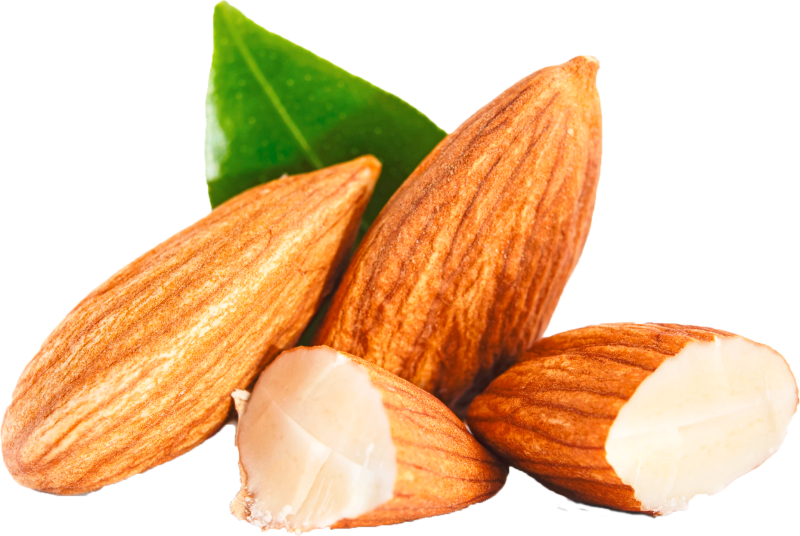 Миндаль на прозрачном фоне