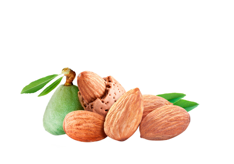 Миндаль орех без фона