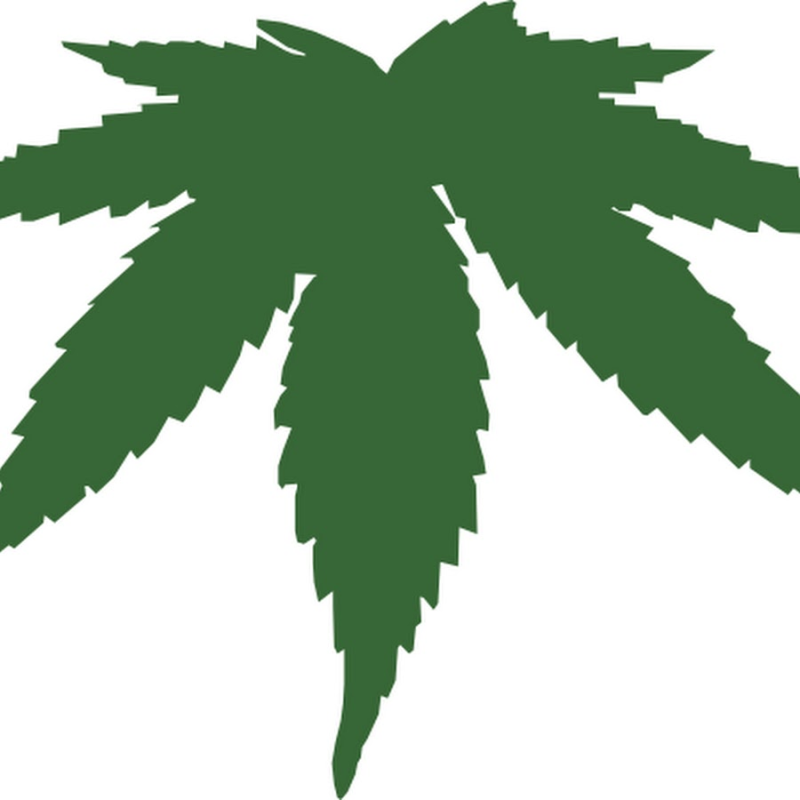 Лист конопли на прозрачном фоне