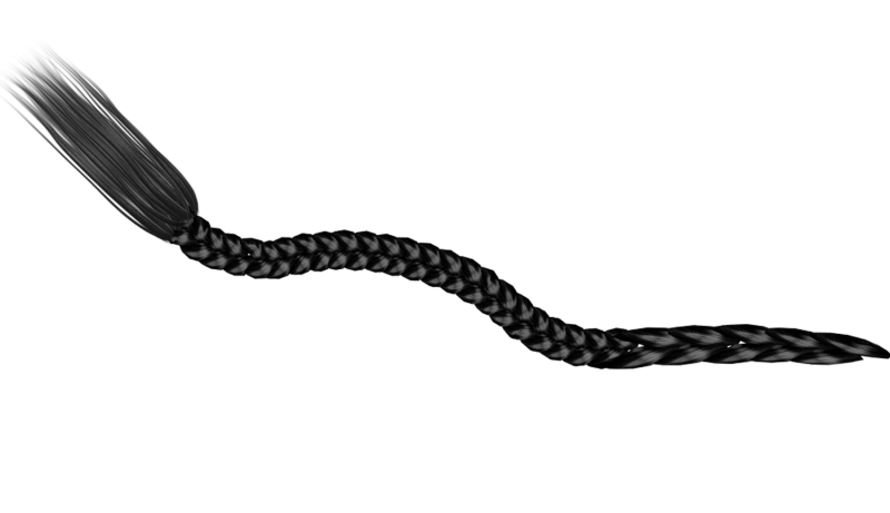 Косичкина прозрачном фоне