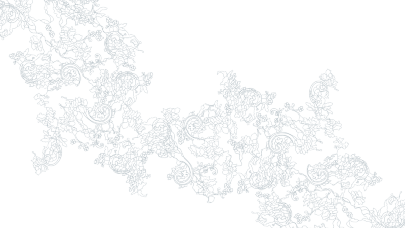 Кружева для фотошопа