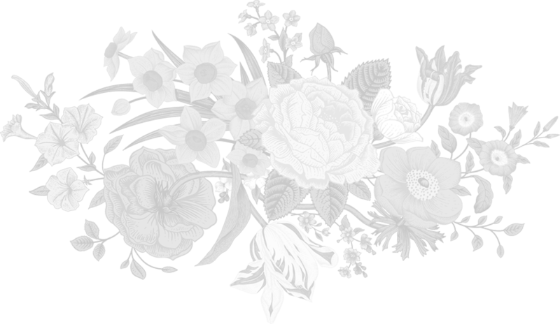 Узор цветы на прозрачном фоне