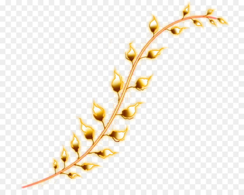 Ветка на прозрачном фоне