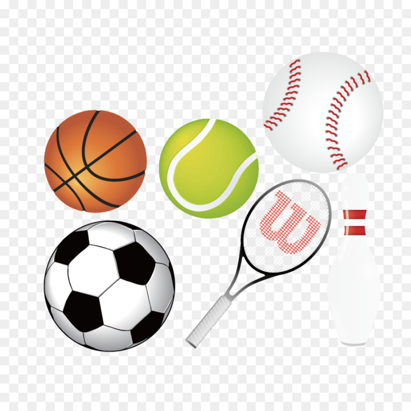 Спортивный инвентарь