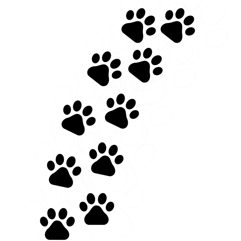 Следы лапок кошки